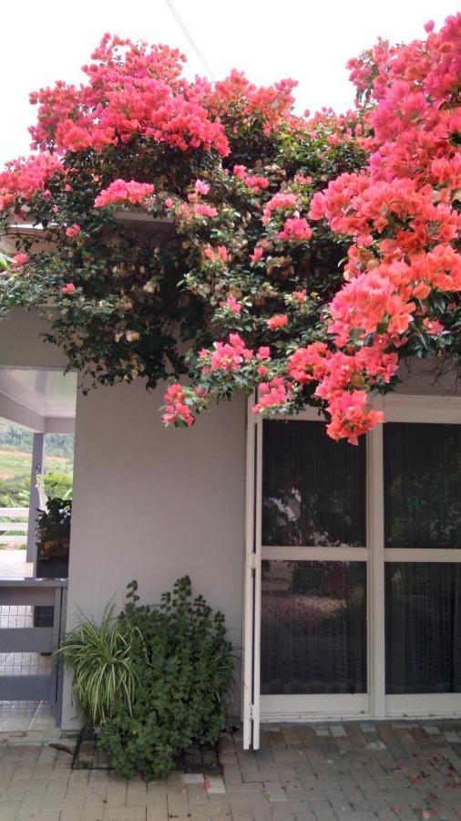 ノーヴァ・ペトローポリス Casa Deniヴィラ エクステリア 写真