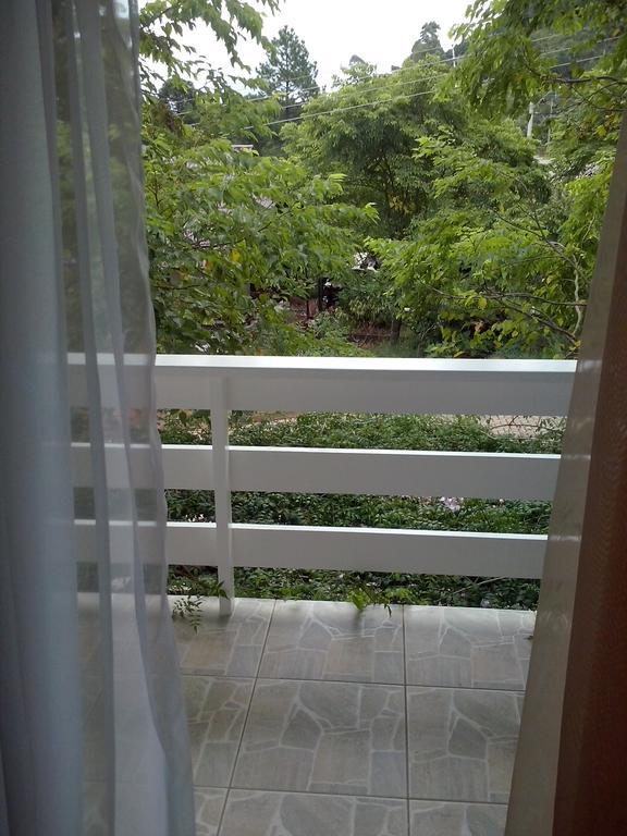 ノーヴァ・ペトローポリス Casa Deniヴィラ エクステリア 写真