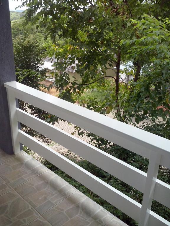 ノーヴァ・ペトローポリス Casa Deniヴィラ エクステリア 写真